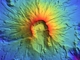 Relief-Shaded Elevation Map